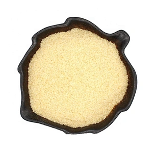 Halal bovine gelatin food grade gelatine good quality odorless gelatin 160 180 250-280 bloom 2024